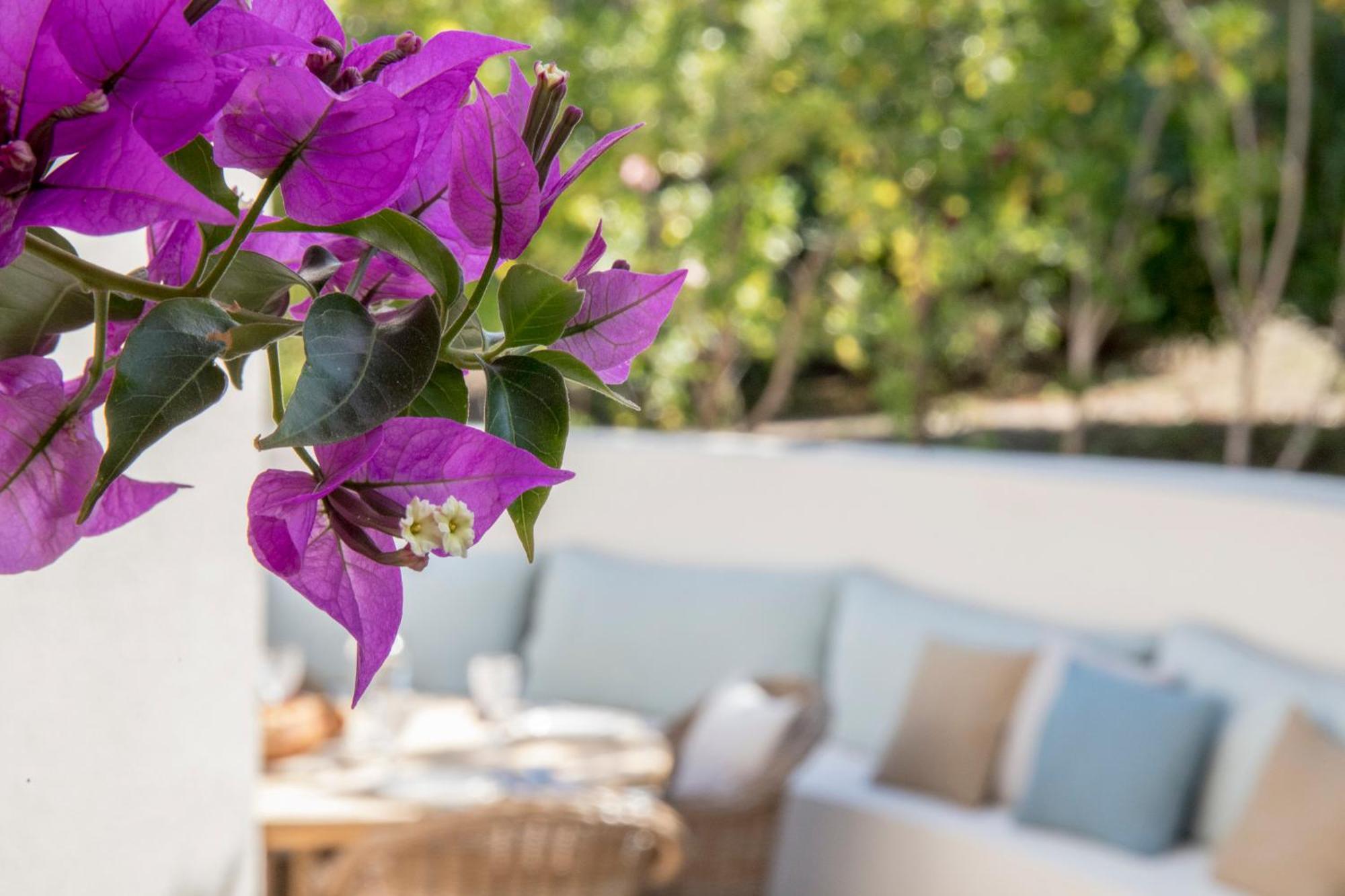 Boutique Hotel Chateau Rouher Propriano  Exterior photo